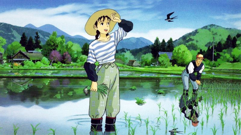 takeo làm nông takeo làm nông